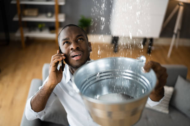Best Professional water damage repair  in Elkhorn, WI