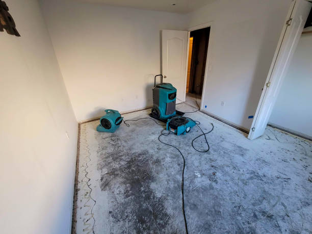 Best Carpet water damage restoration  in Elkhorn, WI