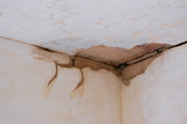 Best Professional water damage repair  in Elkhorn, WI