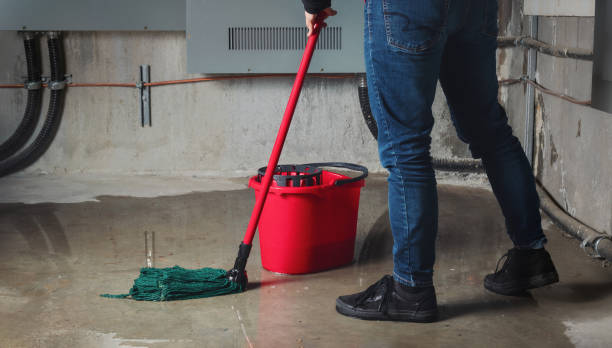 Best Carpet water damage restoration  in Elkhorn, WI