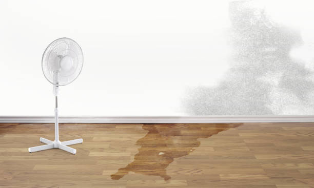Best Flood damage cleanup  in Elkhorn, WI