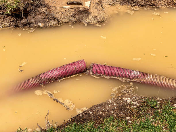 Best Basement water damage restoration  in Elkhorn, WI